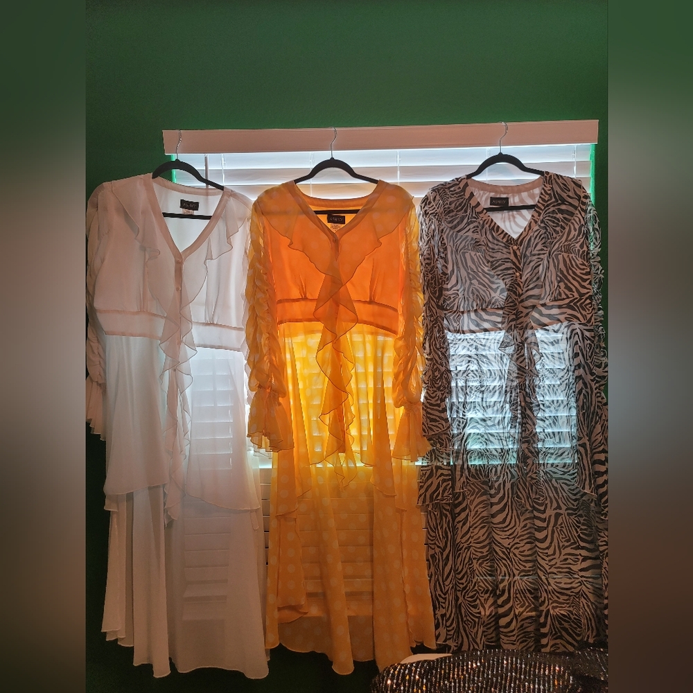 Women's Sheer Ruffled Sun Dress